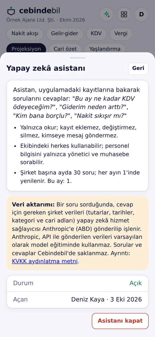Asistanı açma ekranı