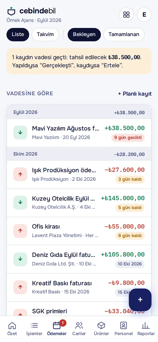 Planlı ödemeler listesi