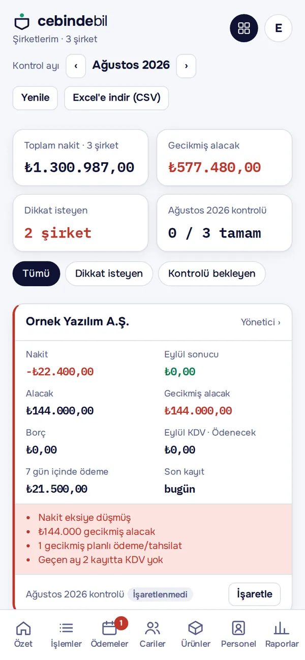 Şirketlerim paneli