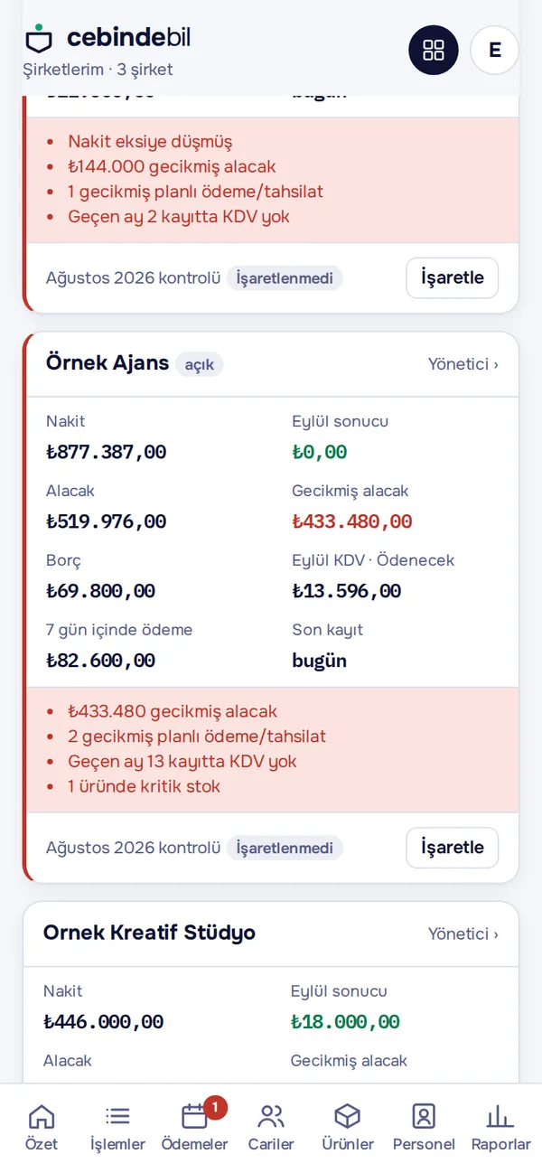 Uyarılarla Şirketlerim paneli