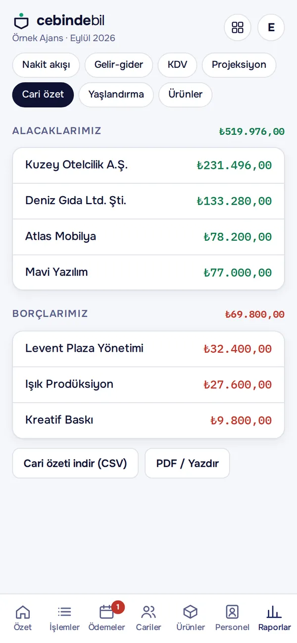 Cari özet raporu