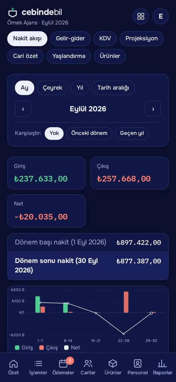 Koyu temada raporlar