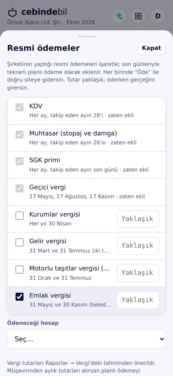 Resmi ödemeler kurulumu